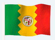 santacatflag